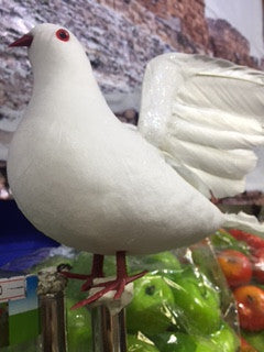 White pigeon - Decorations - Sukkahmart South Africa